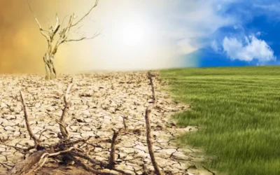 Türkiye’de iklim değişikliğinin göç üzerindeki etkilerini anlatan yeni rapor yayınlandı