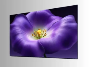 Xiaomi TV S Pro Mini LED 2026 geldi: Sinema kalitesinde dev televizyon