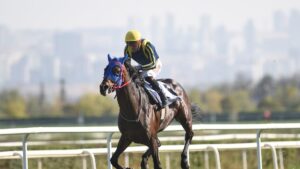 87. Cumhurbaşkanlığı Koşusu şampiyonu Grande Flusso oldu!