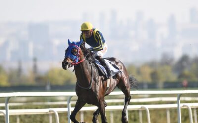 87. Cumhurbaşkanlığı Koşusu şampiyonu Grande Flusso oldu!