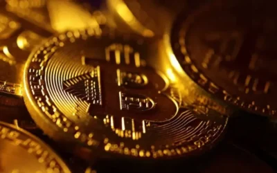 Kripto para yatırımcıları şokta: Trump çöküşe neden oldu