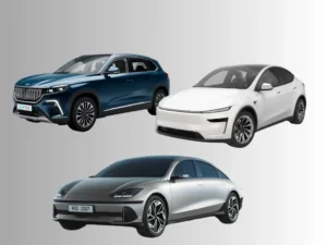 Elektrikli araçlar Togg Tesla ve Hyundai menzil testinde Türkiye’de karşılaştırıldı